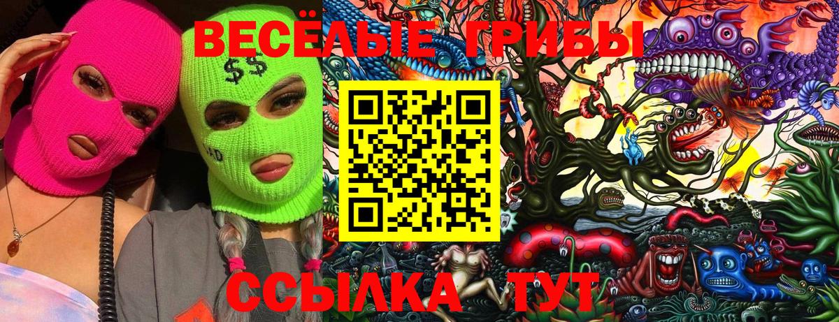 Галлюциногенные грибы прущие грибы  Вход с VPN  Галлюциногенные грибы прущие грибы  Ростов-на-Дону 